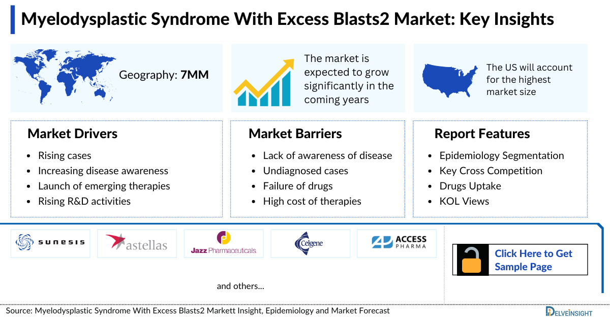 Myelodysplastic Syndrome With Excess Blasts2 Market